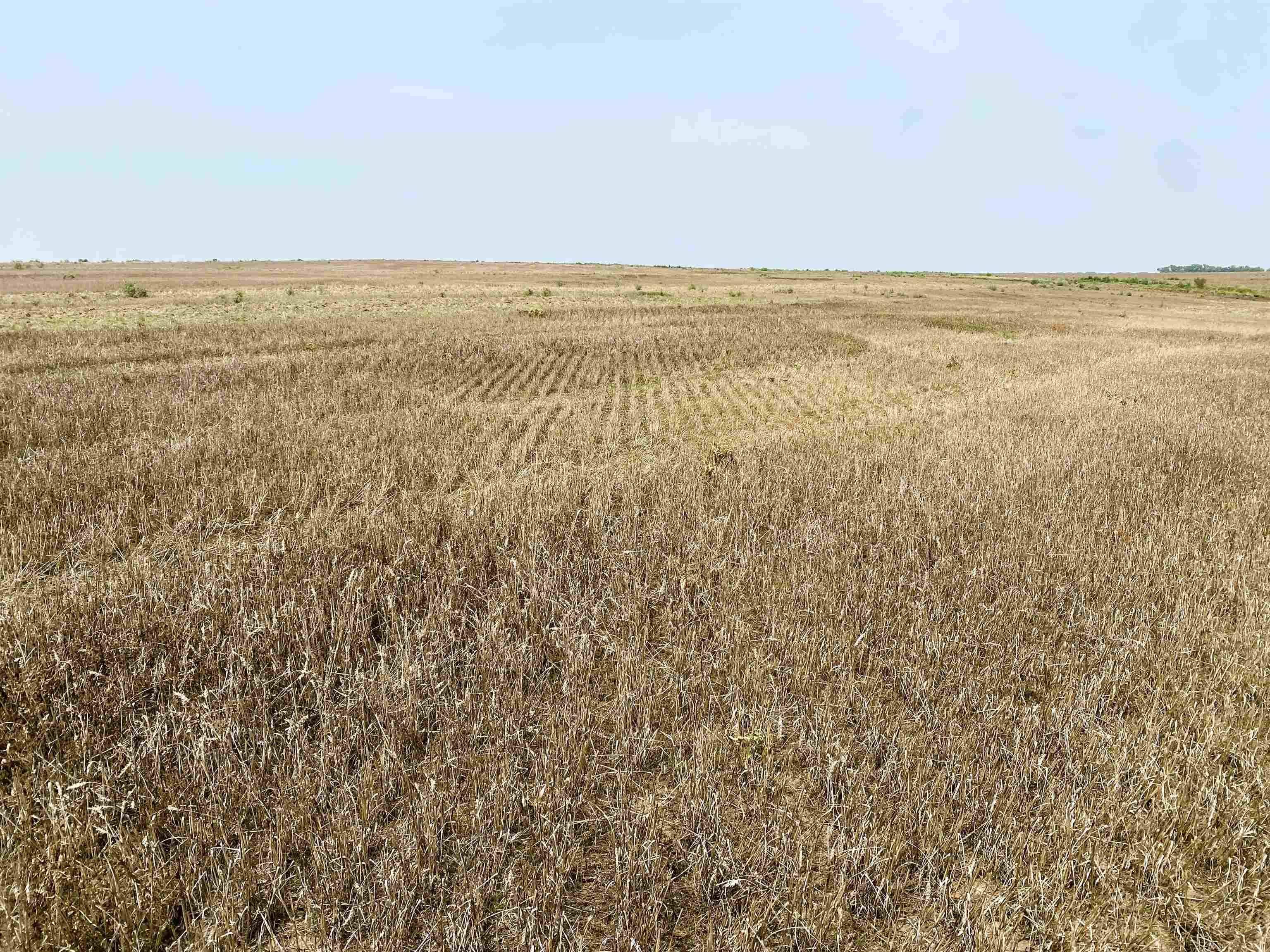 0000 E Campbell Rd, New Cambria, KS 67470