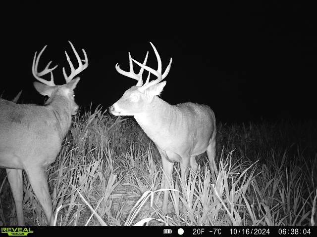 0000 5th Road, Raymond, KS 67573