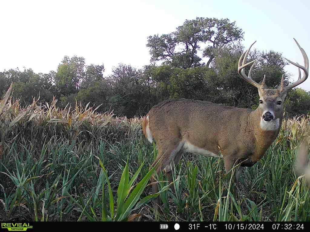 0000 5th Road, Raymond, KS 67573