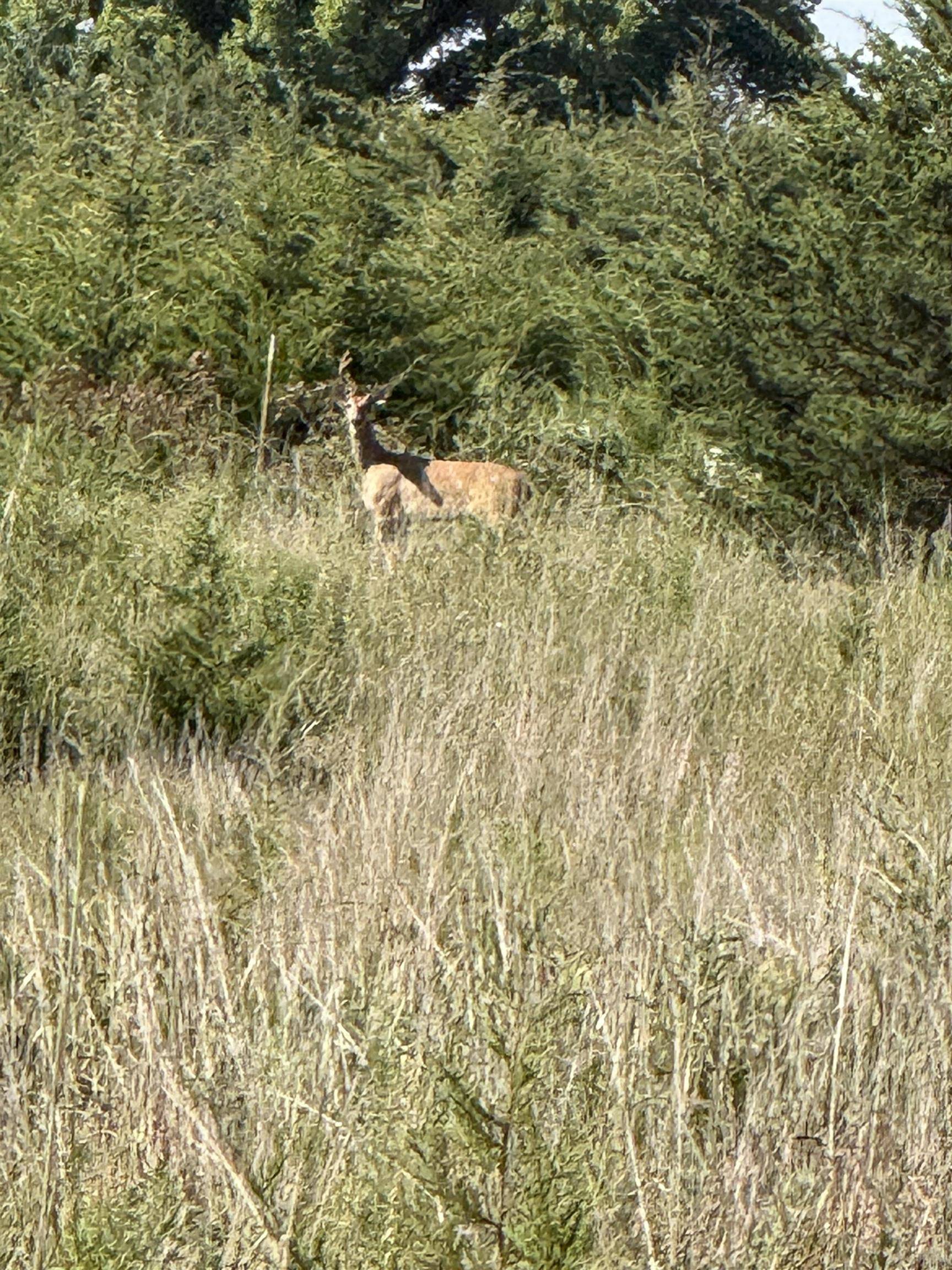 0 SW Purity Springs Rd., El Dorado, KS 67042
