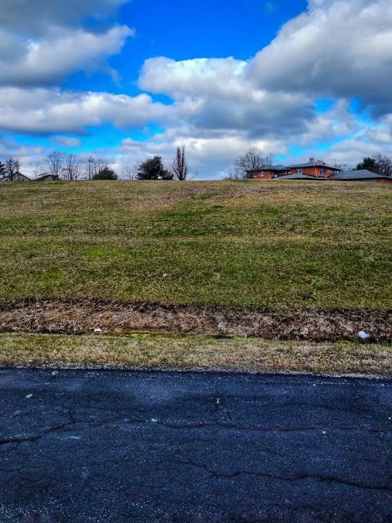 Lot 80 Boyington LN, Monee, IL 60449