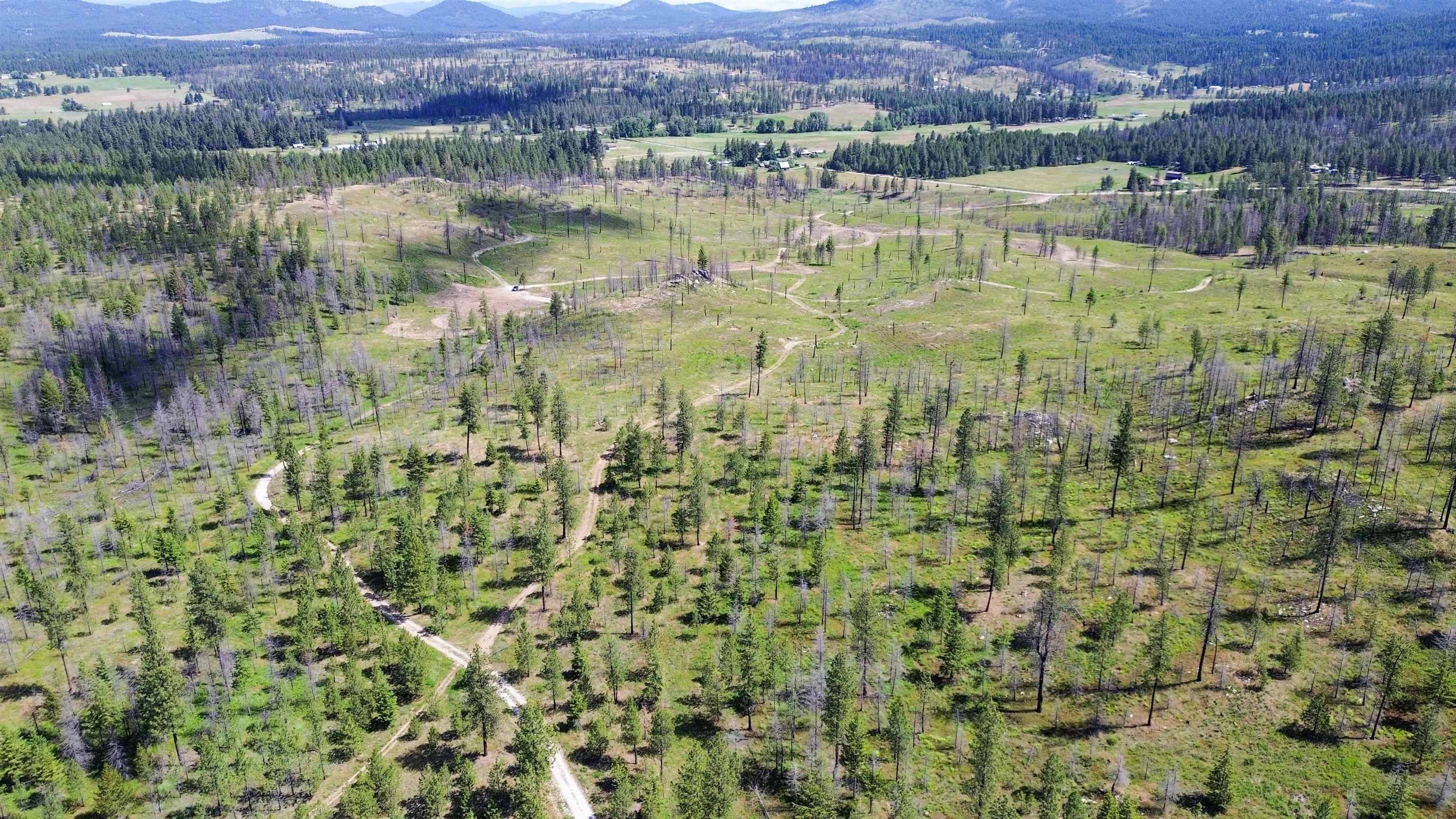 357XX N Conklin Rd, Elk, WA 99009