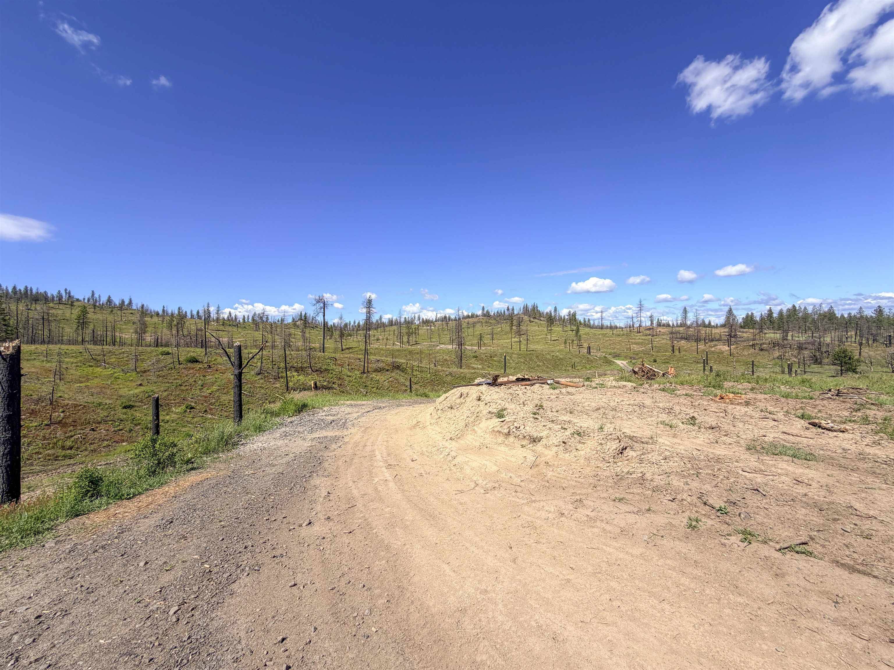 357XX N Conklin Rd, Elk, WA 99009