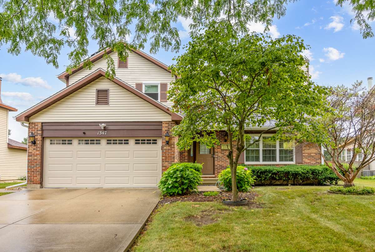 1347 Rose BLVD, Buffalo Grove, IL 60089