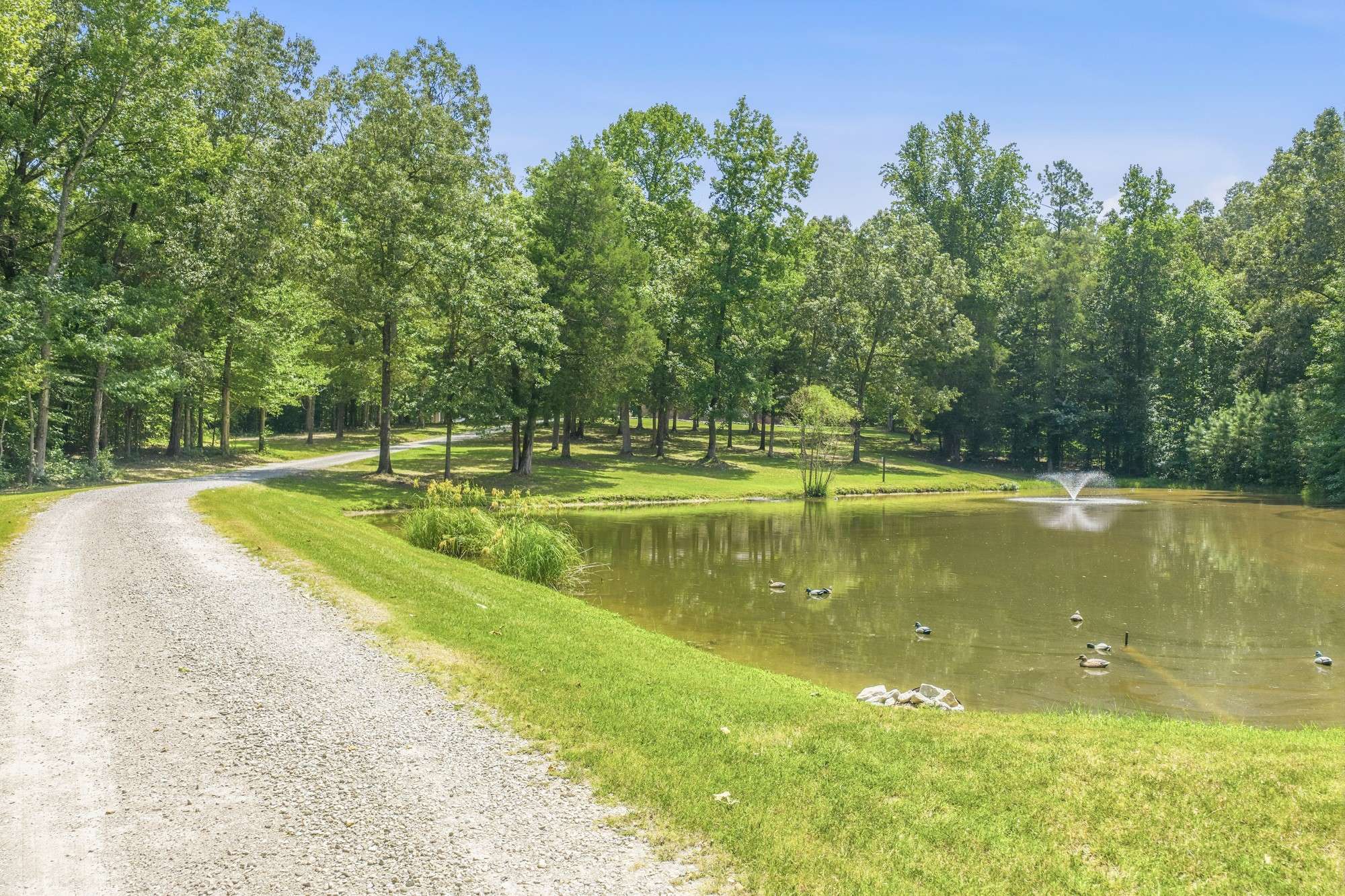 899 Wilkinstown Rd, Parsons, TN 38363