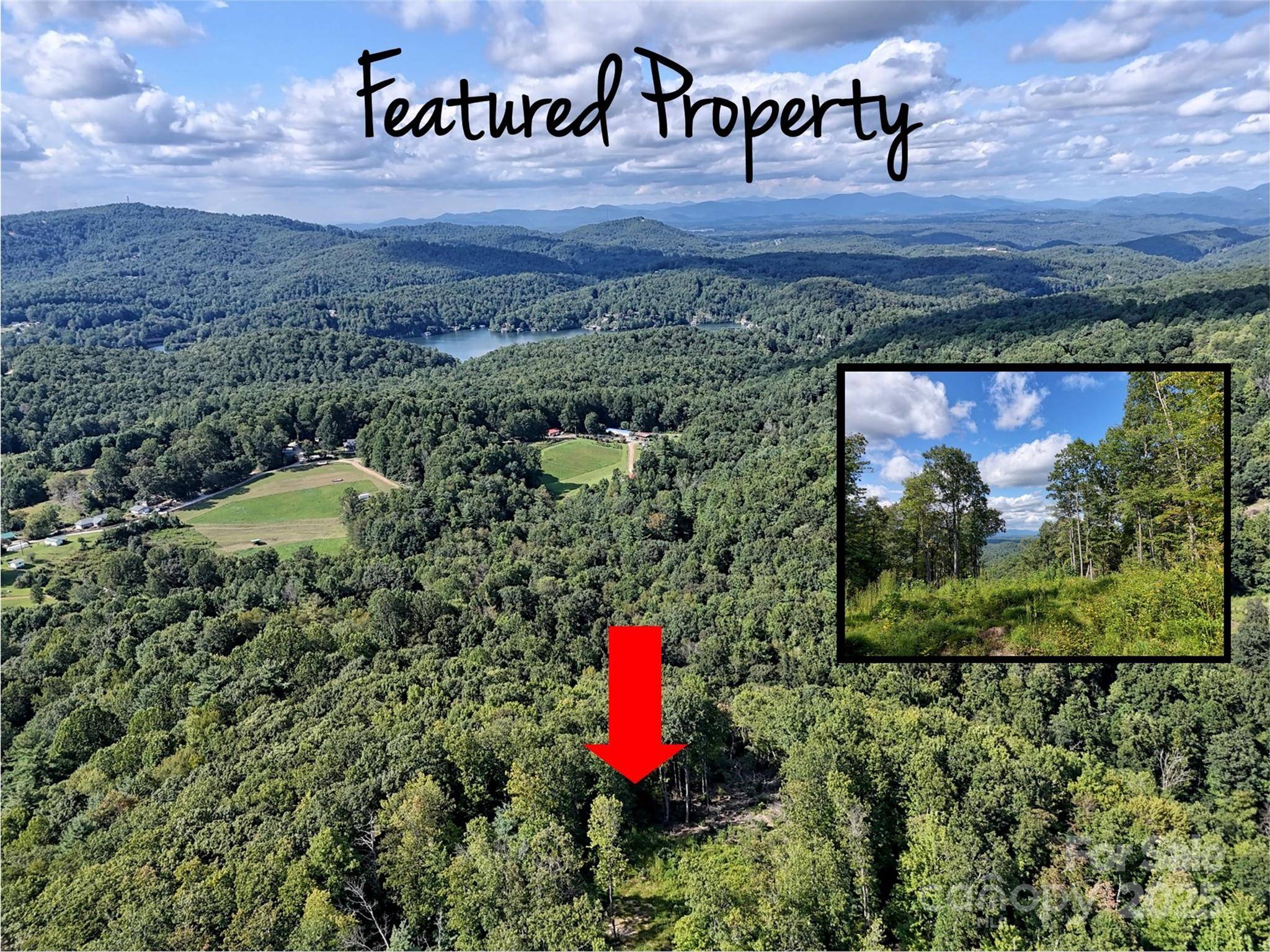 00 Bell Mountain RD, Zirconia, NC 28790