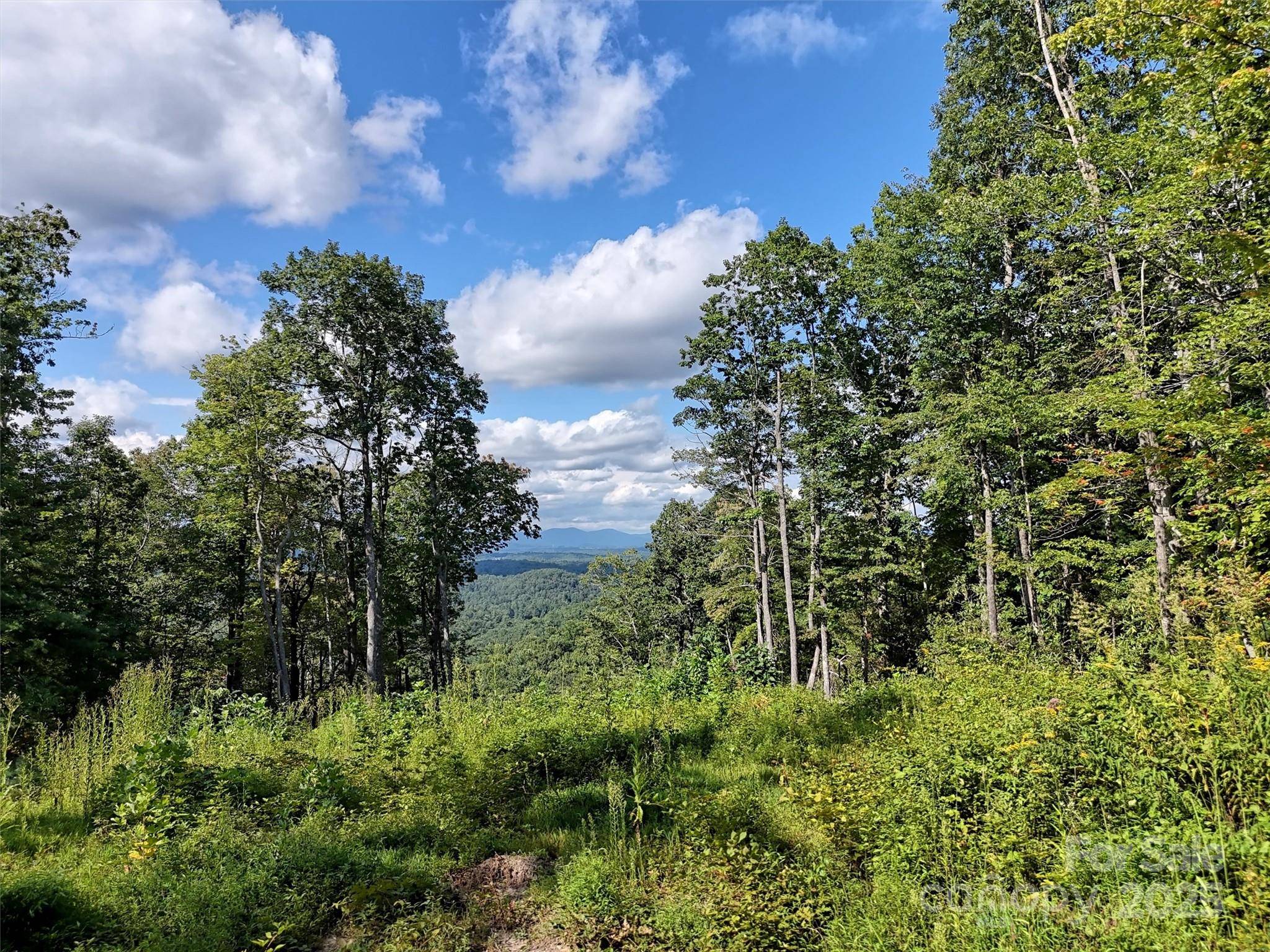 00 Bell Mountain RD, Zirconia, NC 28790