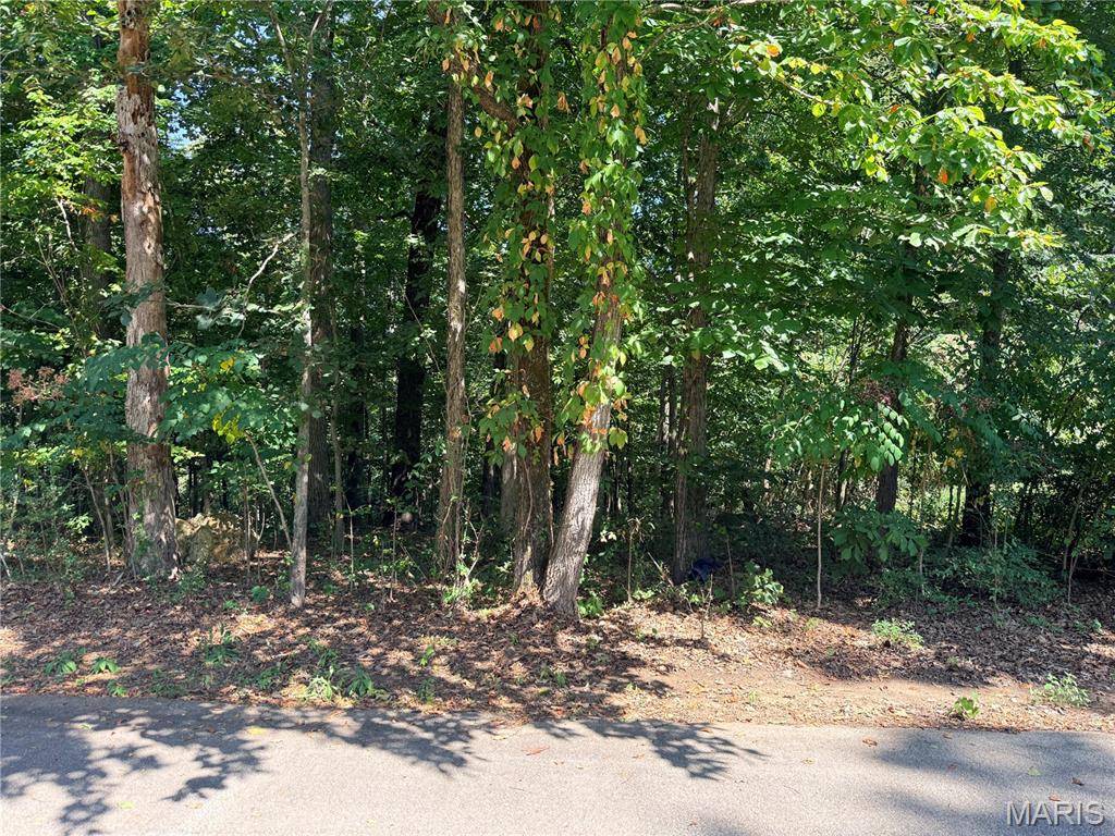 685 Radcliff LN, Poplar Bluff, MO 63901