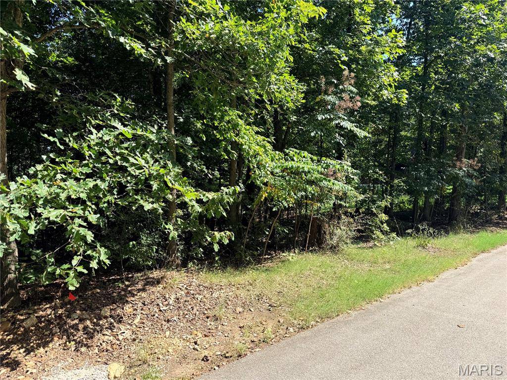 685 Radcliff LN, Poplar Bluff, MO 63901