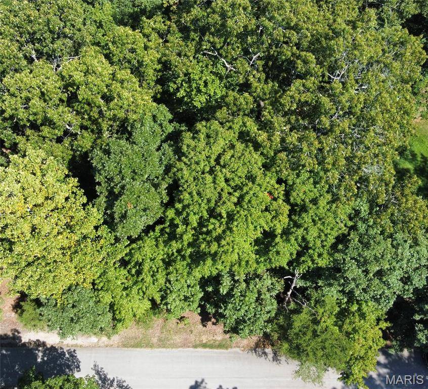 685 Radcliff LN, Poplar Bluff, MO 63901