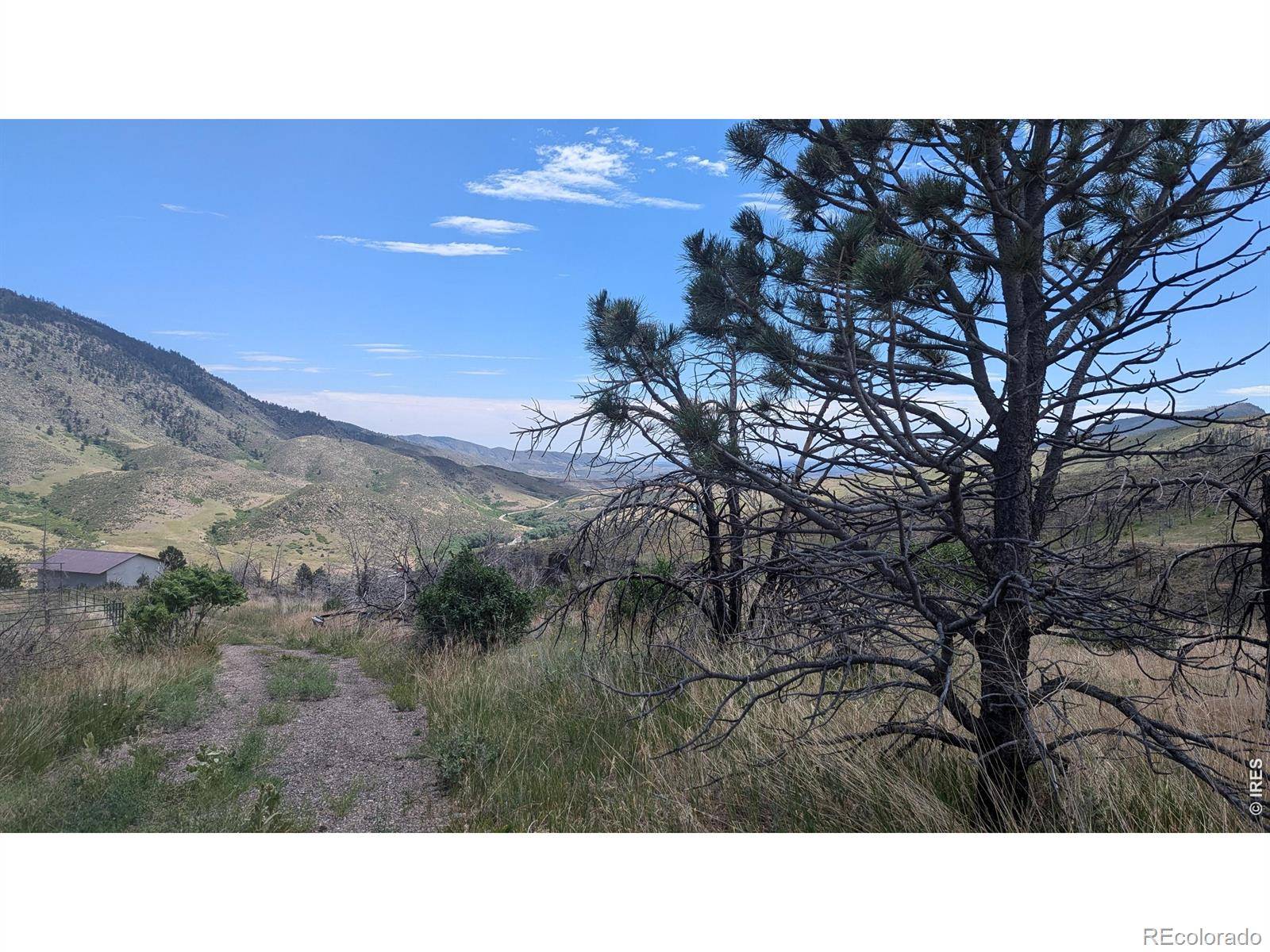 439 Redtail Ridge WAY, Bellvue, CO 80512
