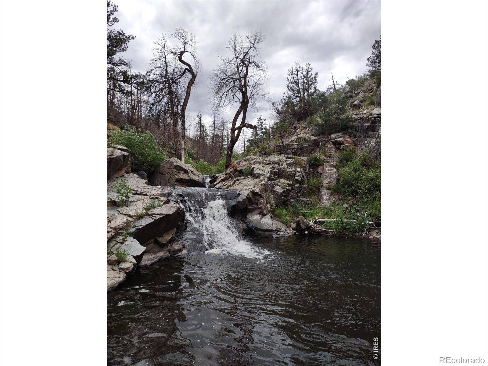 439 Redtail Ridge WAY, Bellvue, CO 80512