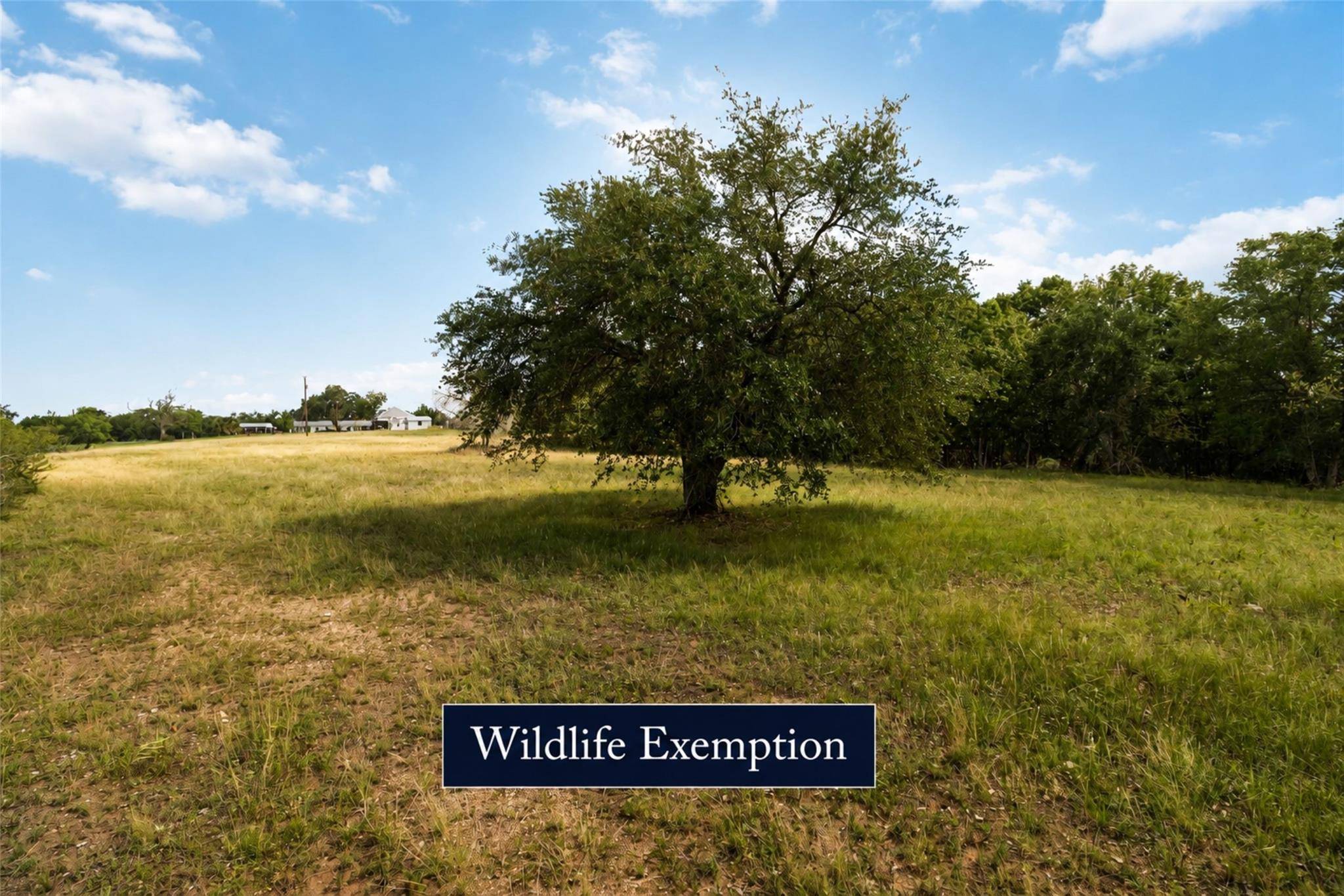 227 Henderson LN, Lockhart, TX 78644