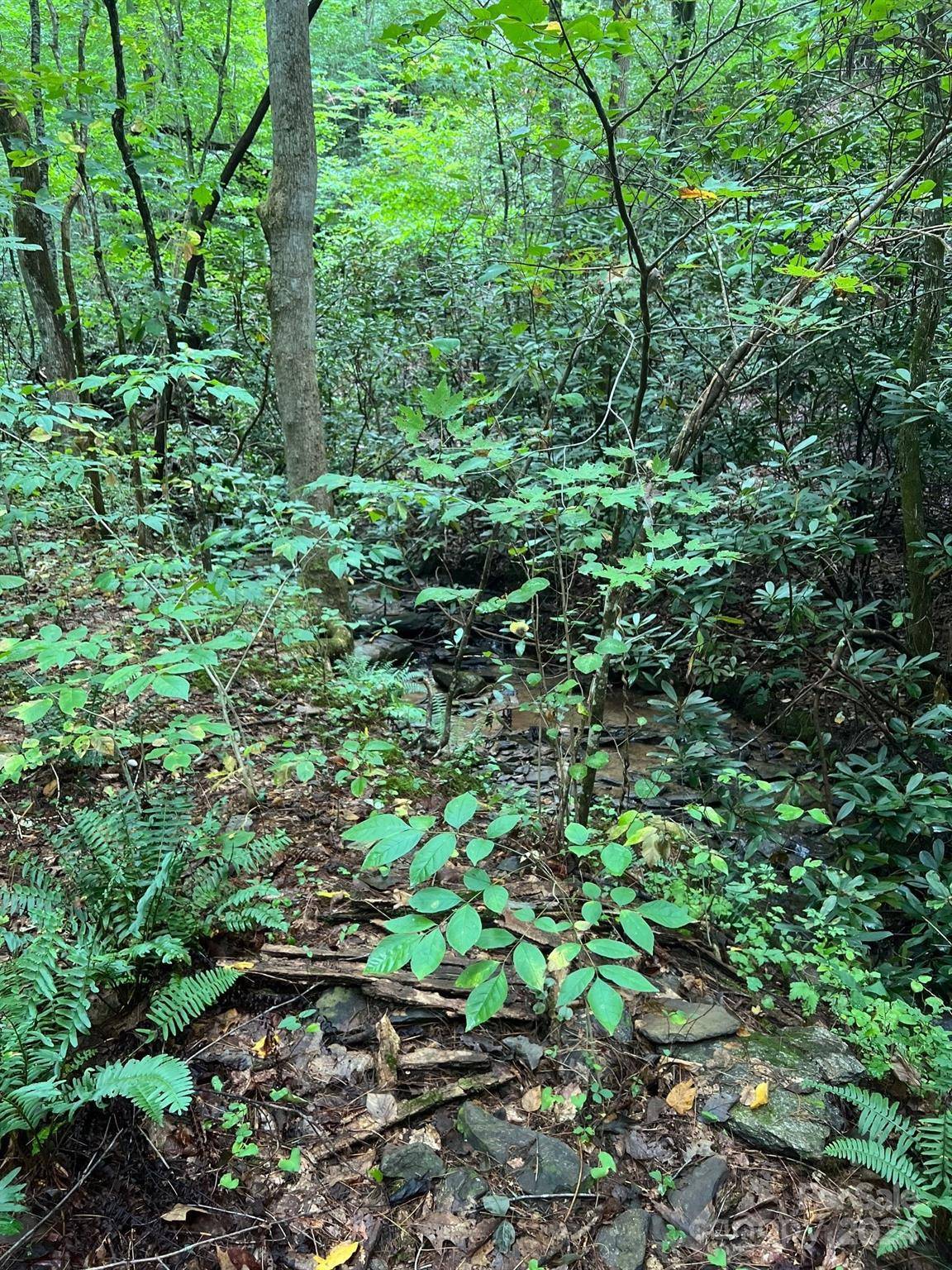 645 Tunnel RD #157 & 158, Marion, NC 28752