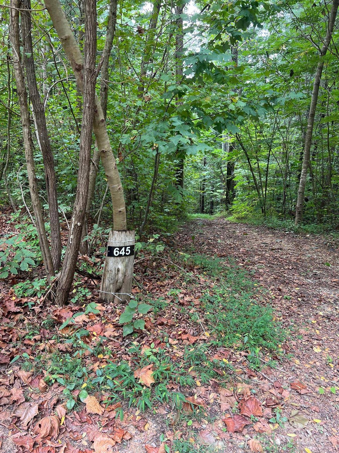 645 Tunnel RD #157 & 158, Marion, NC 28752