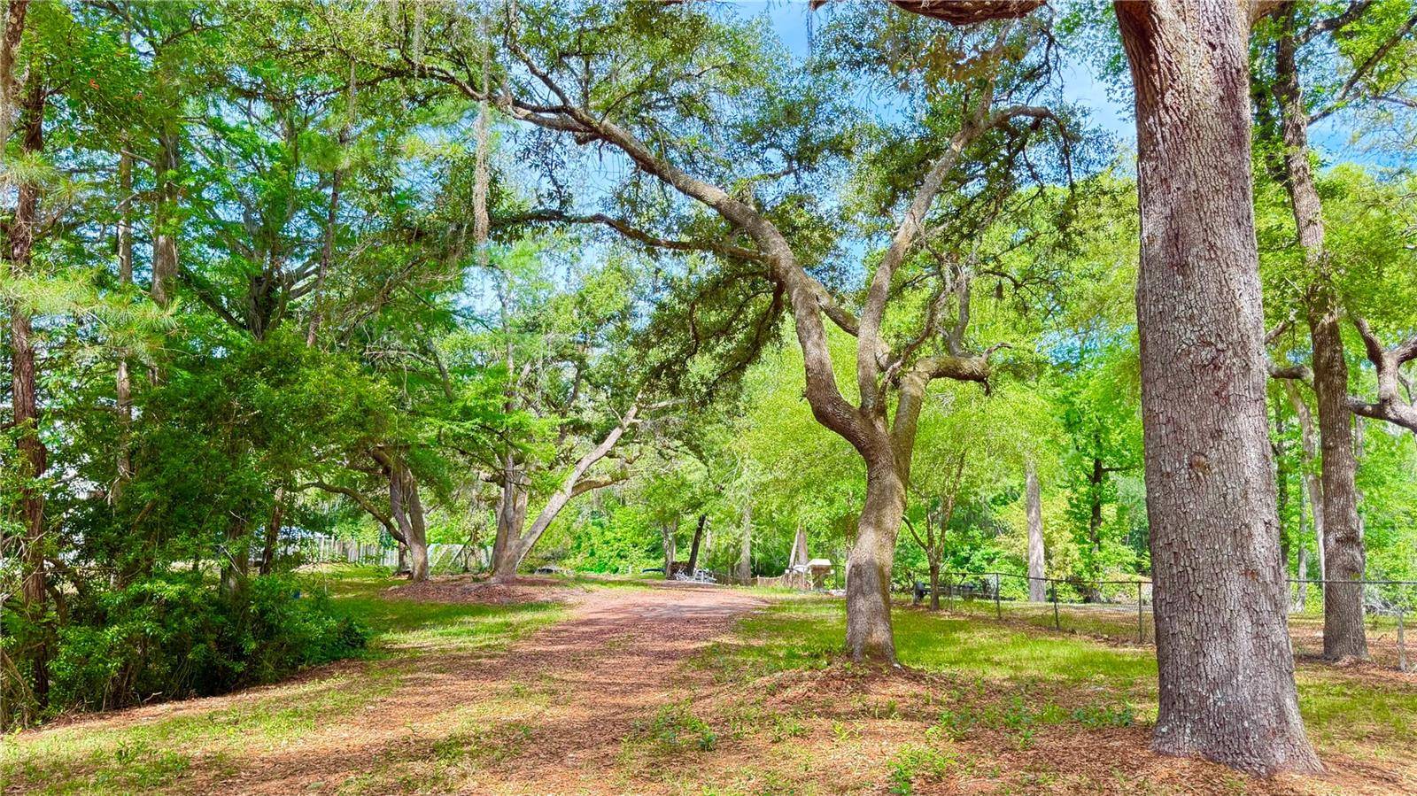 2905 CREEK ST, Middleburg, FL 32068
