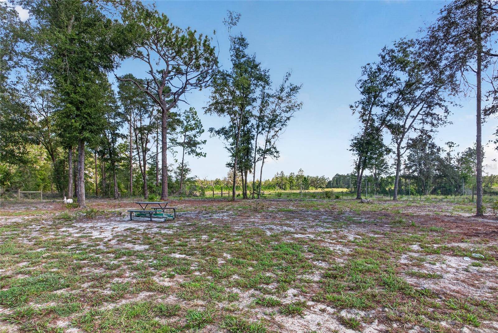 79 NE 91ST ST, Branford, FL 32008