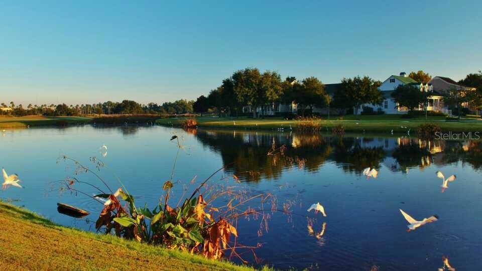 934 WESTPARK DR, Celebration, FL 34747