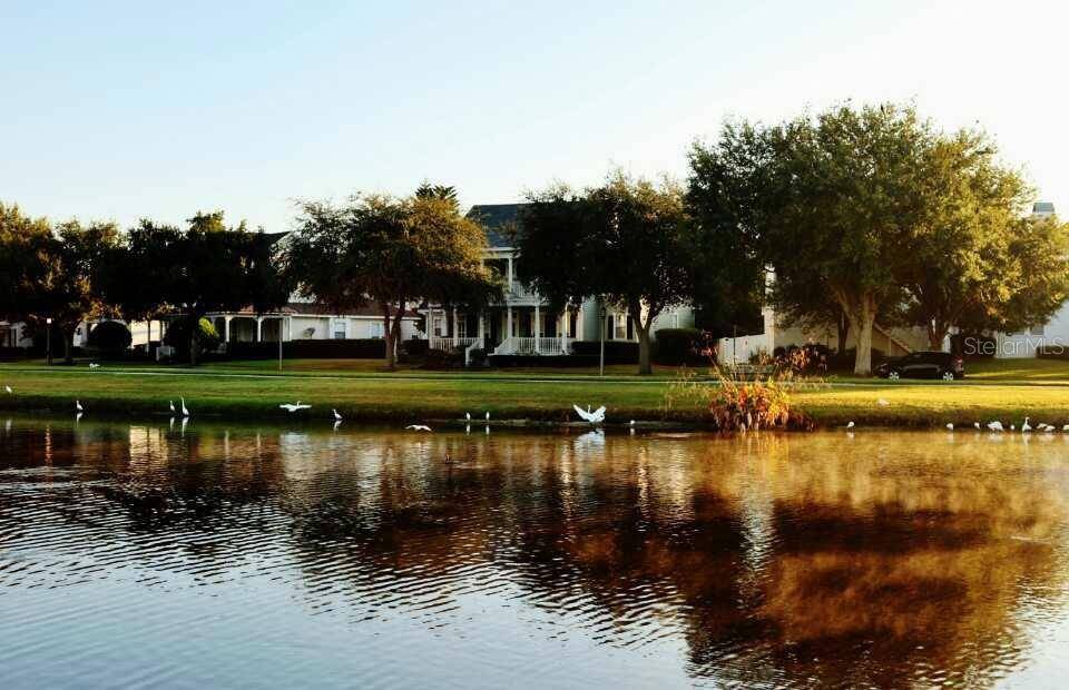 934 WESTPARK DR, Celebration, FL 34747