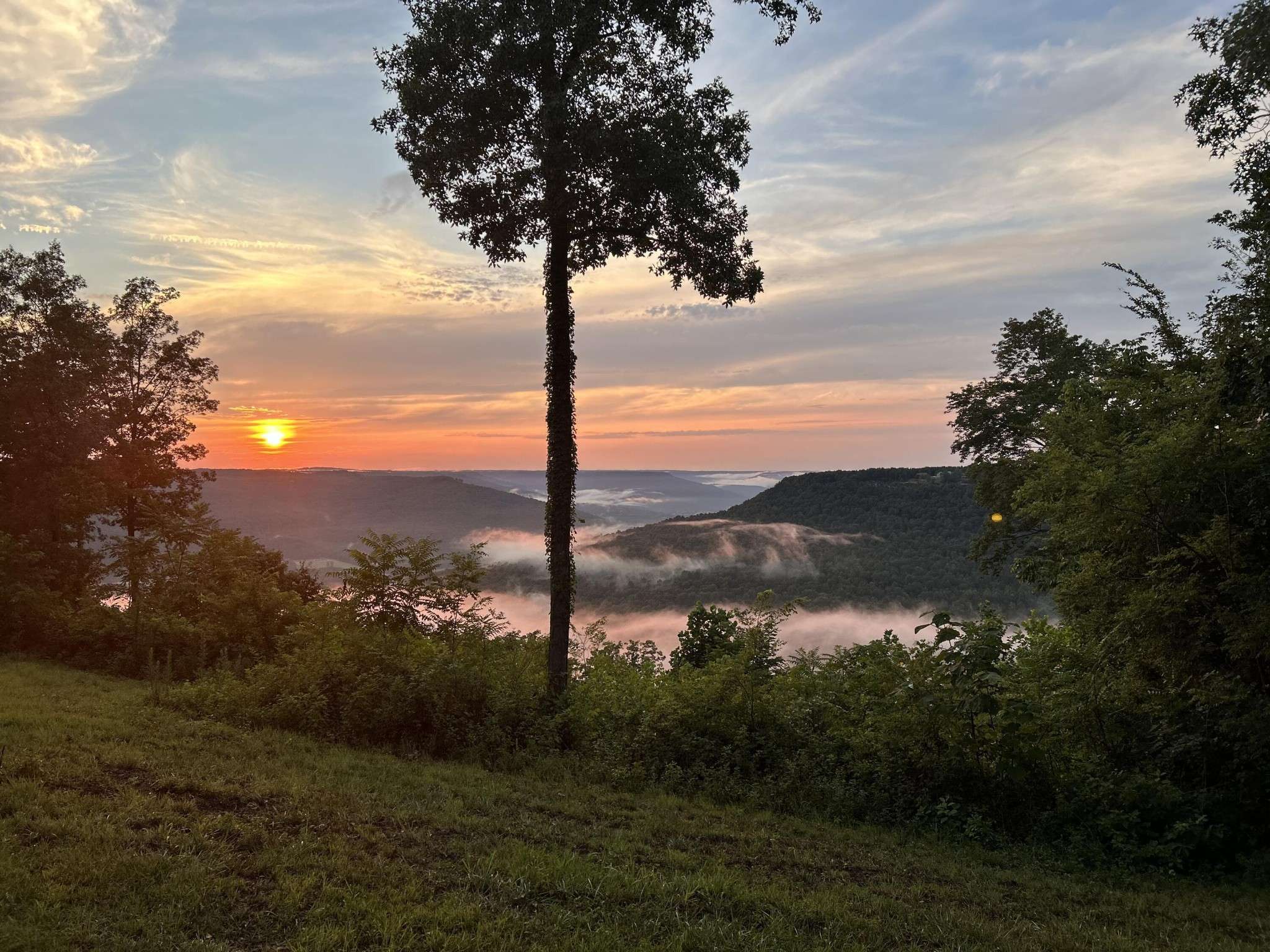 755 Sunset Circle, Jasper, TN 37347