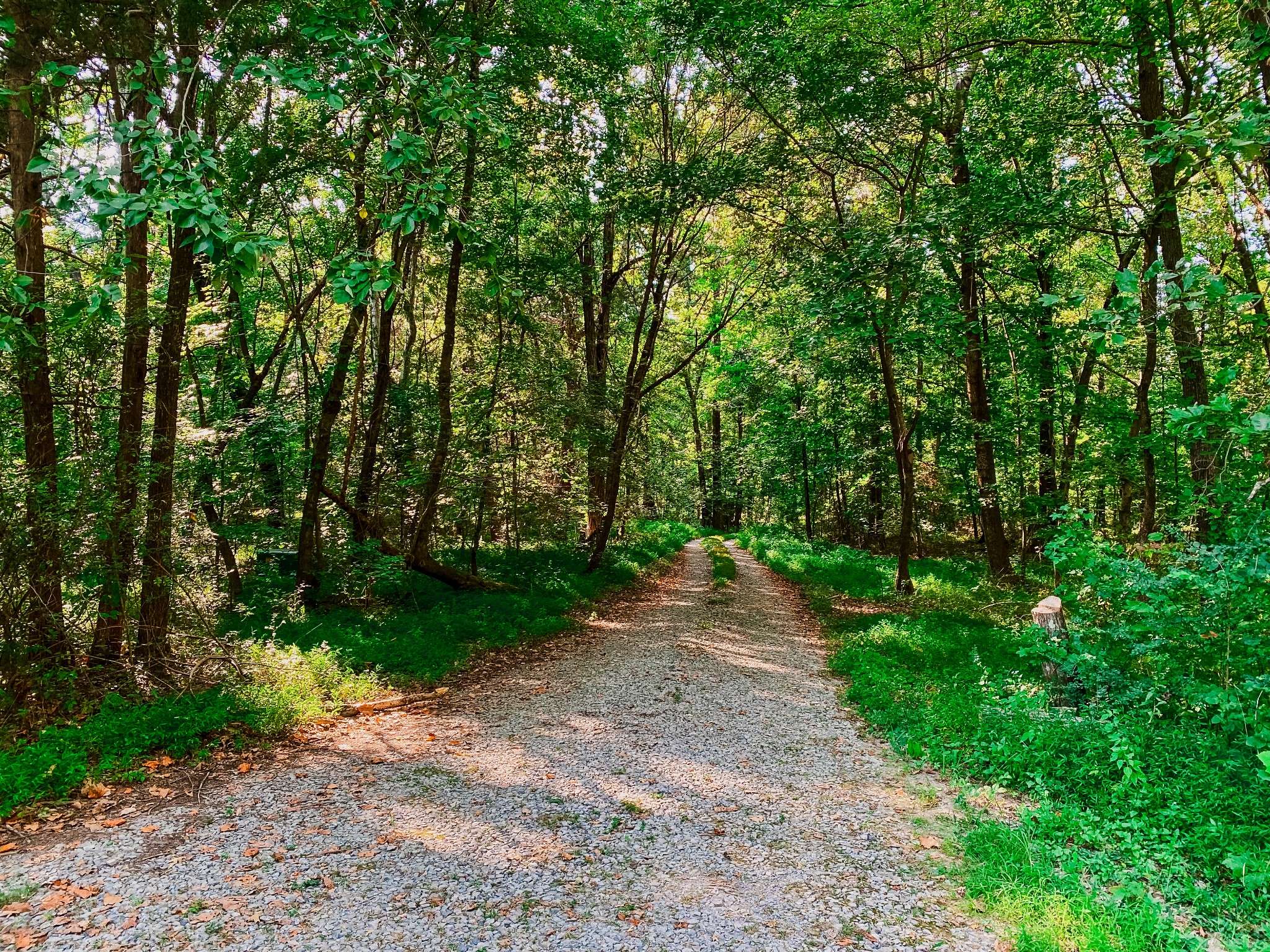 1006 Clearview Pt, Cottontown, TN 37048