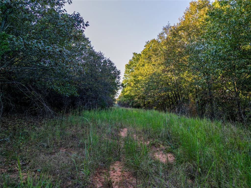 Lot B - Williams RD, Tribbey, OK 74878
