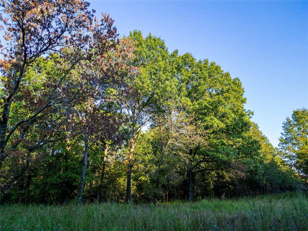 Lot B - Williams RD, Tribbey, OK 74878