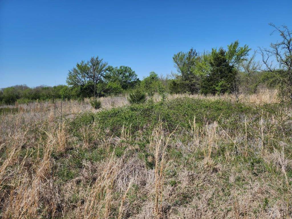 0000 Cyrus Harris Road RD, Mill Creek, OK 74856