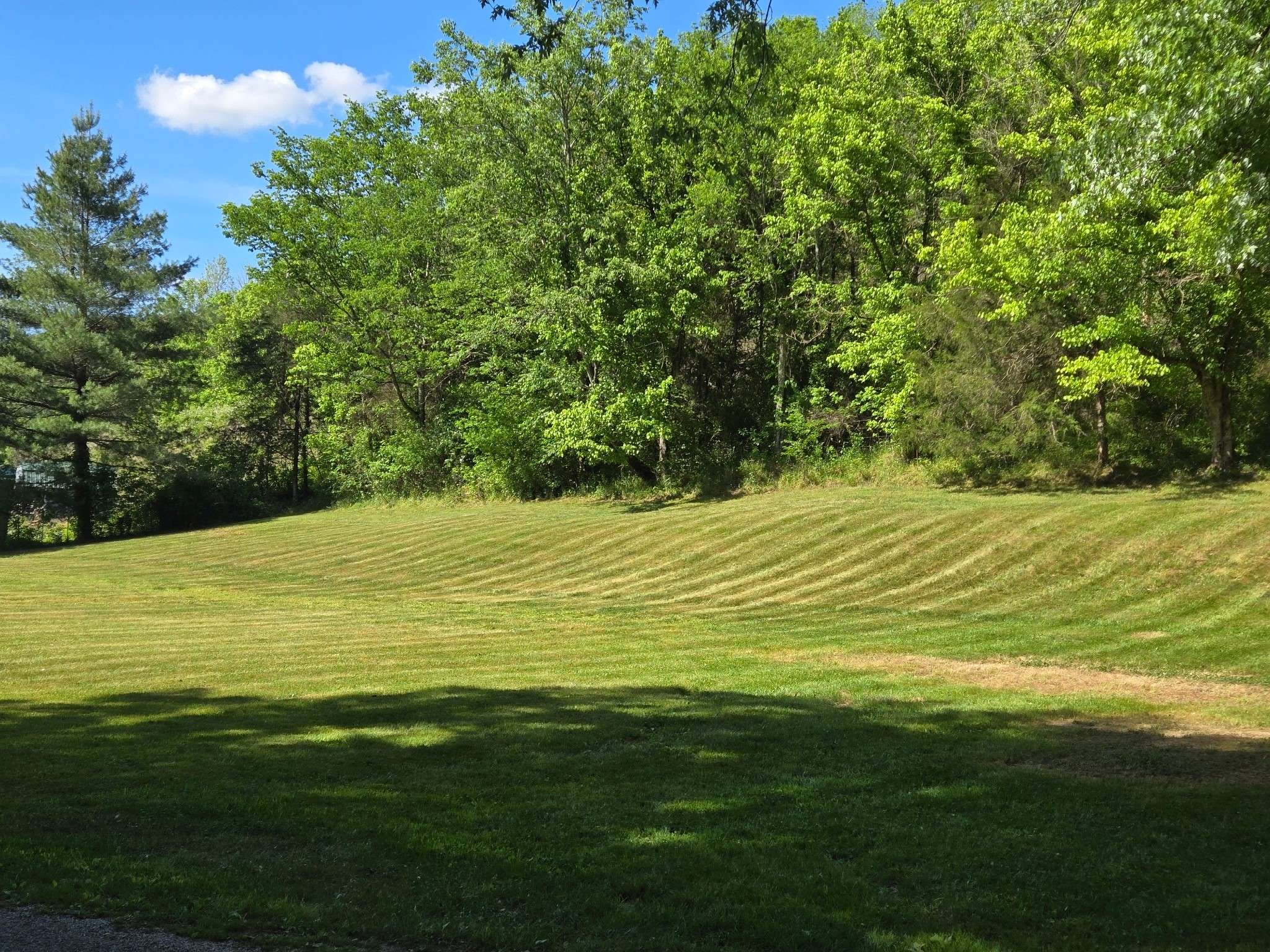 0 Dog Branch Road #S, Pleasant Shade, TN 37145
