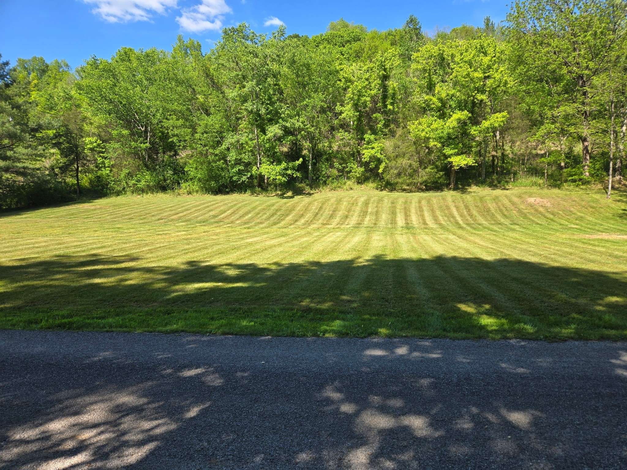 0 Dog Branch Road #S, Pleasant Shade, TN 37145