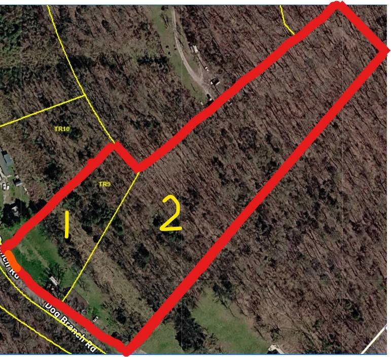 0 Dog Branch Road #S, Pleasant Shade, TN 37145
