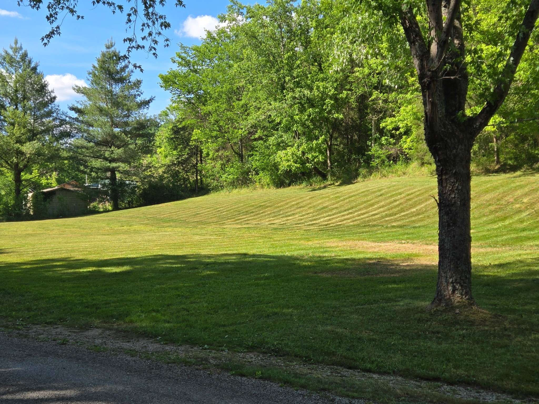0 Dog Branch Road #S, Pleasant Shade, TN 37145