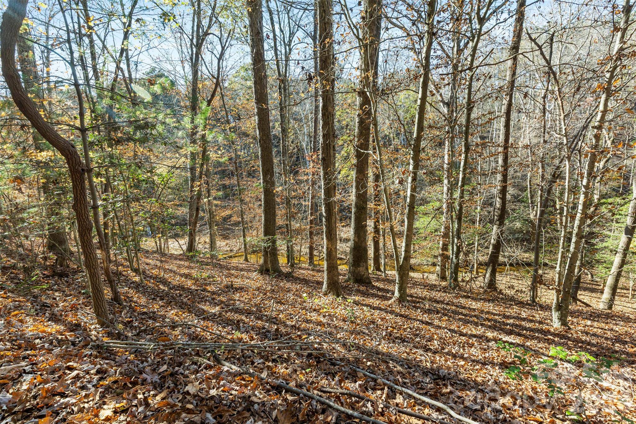 119 Wood Cove LN, Stony Point, NC 28678