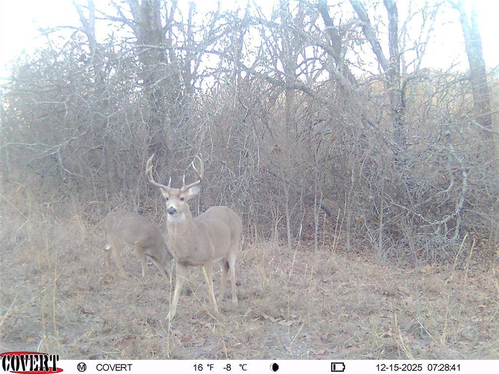 0000 N 3875 RD, Weleetka, OK 74839