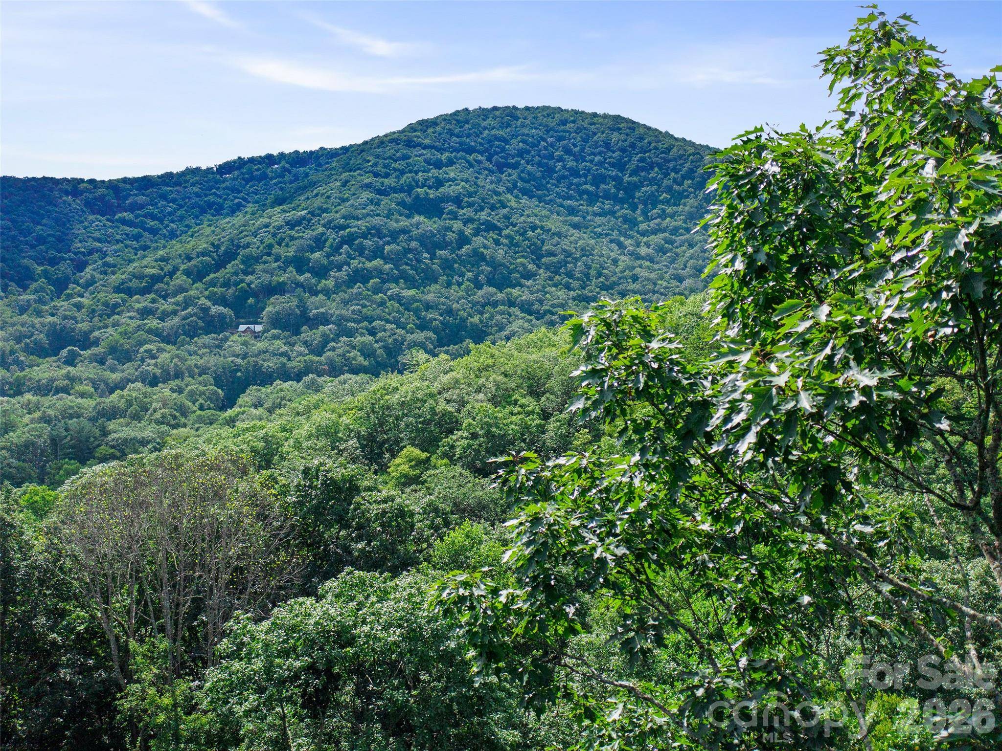 000 Falling Water DR, Burnsville, NC 28714