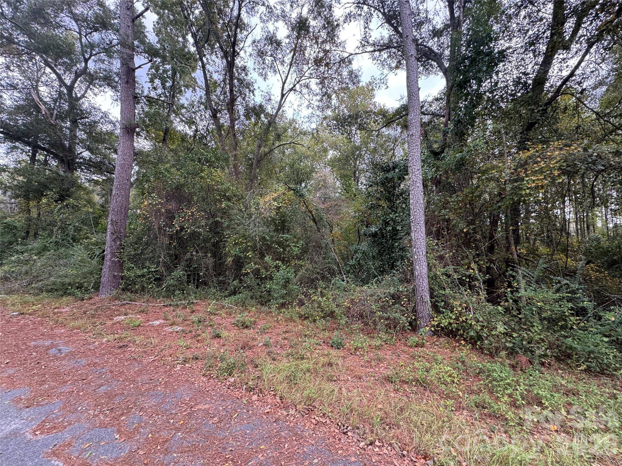 00 ellen DR, Hamlet, NC 28345