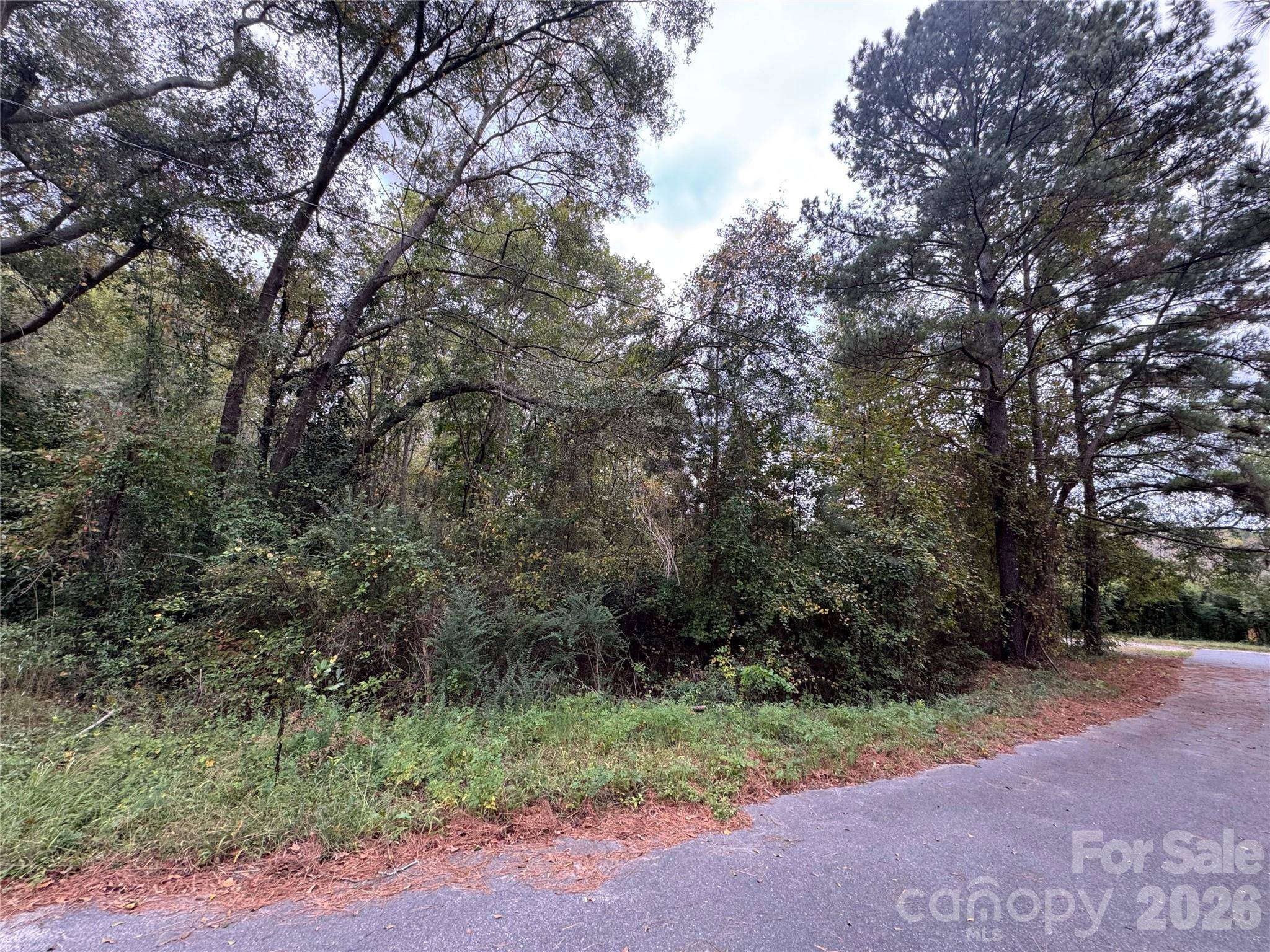 00 ellen DR, Hamlet, NC 28345