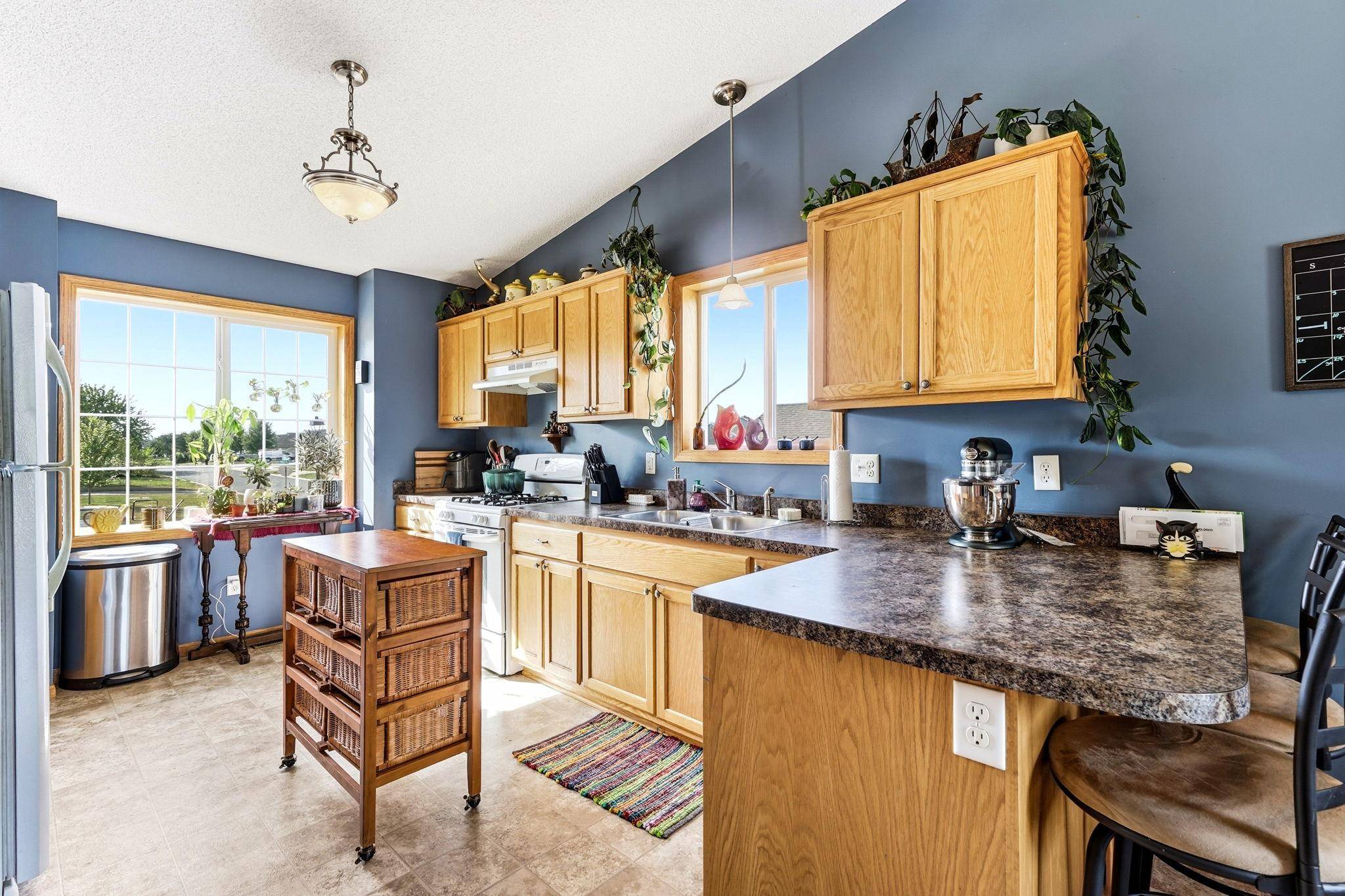 23563 Marigold ST NW, Saint Francis, MN 55070