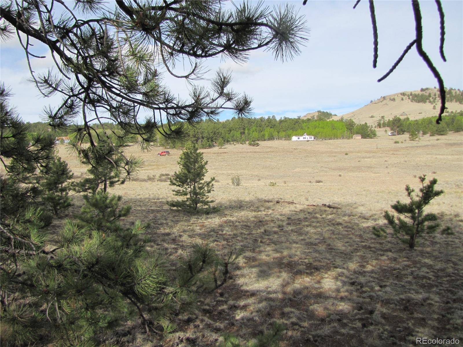575 Falcon RD, Hartsel, CO 80449