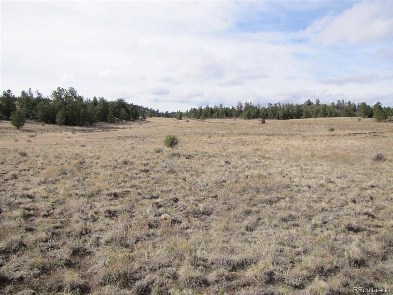 487 Falcon RD, Hartsel, CO 80449