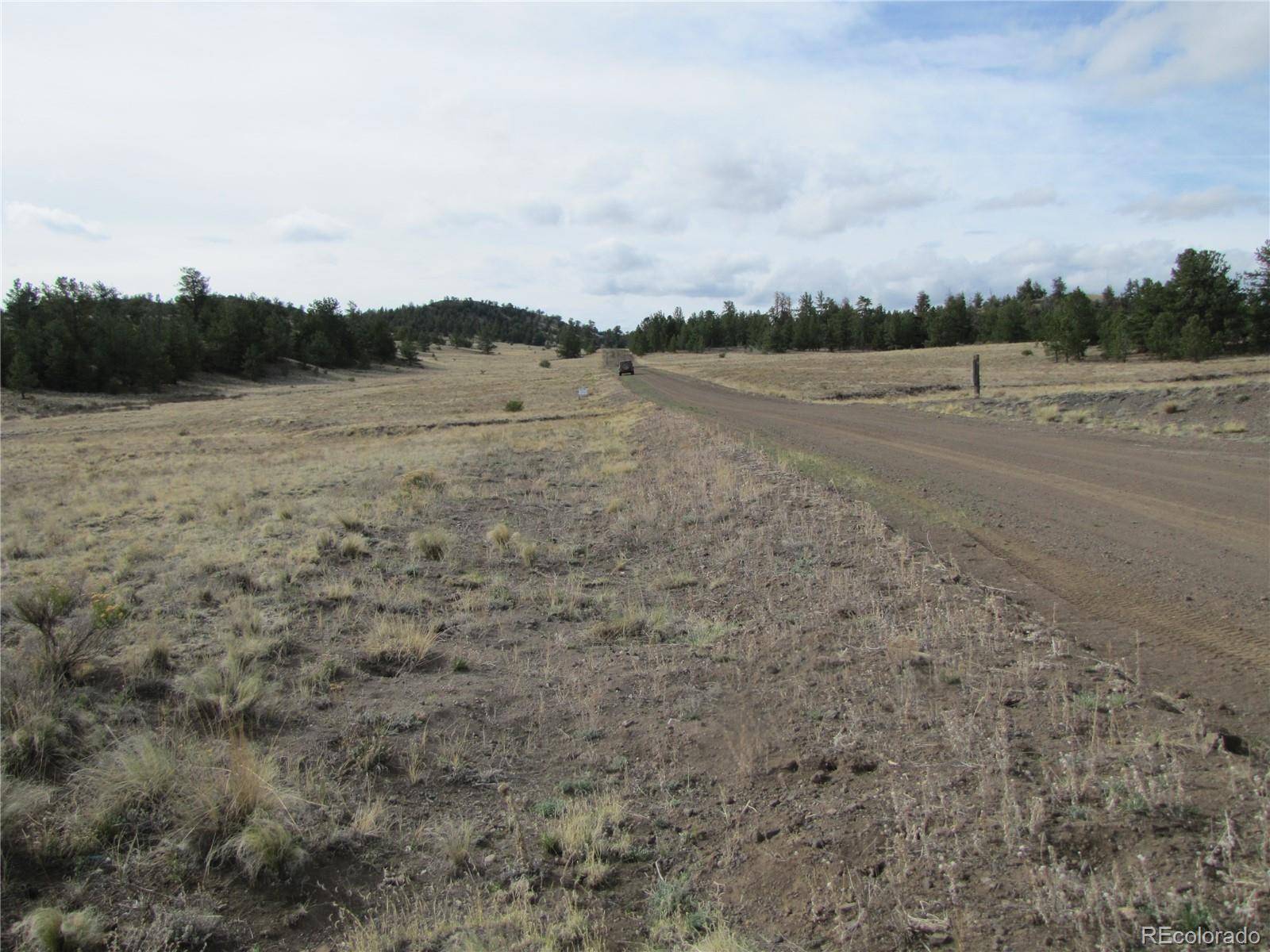 487 Falcon RD, Hartsel, CO 80449