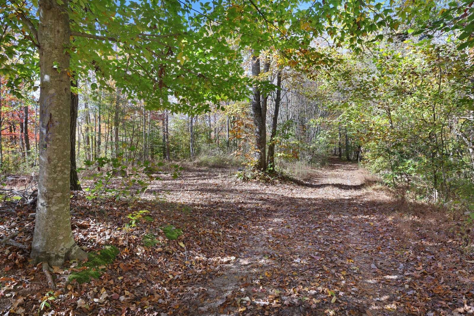 0 Smithville Hwy, Silver Point, TN 38582
