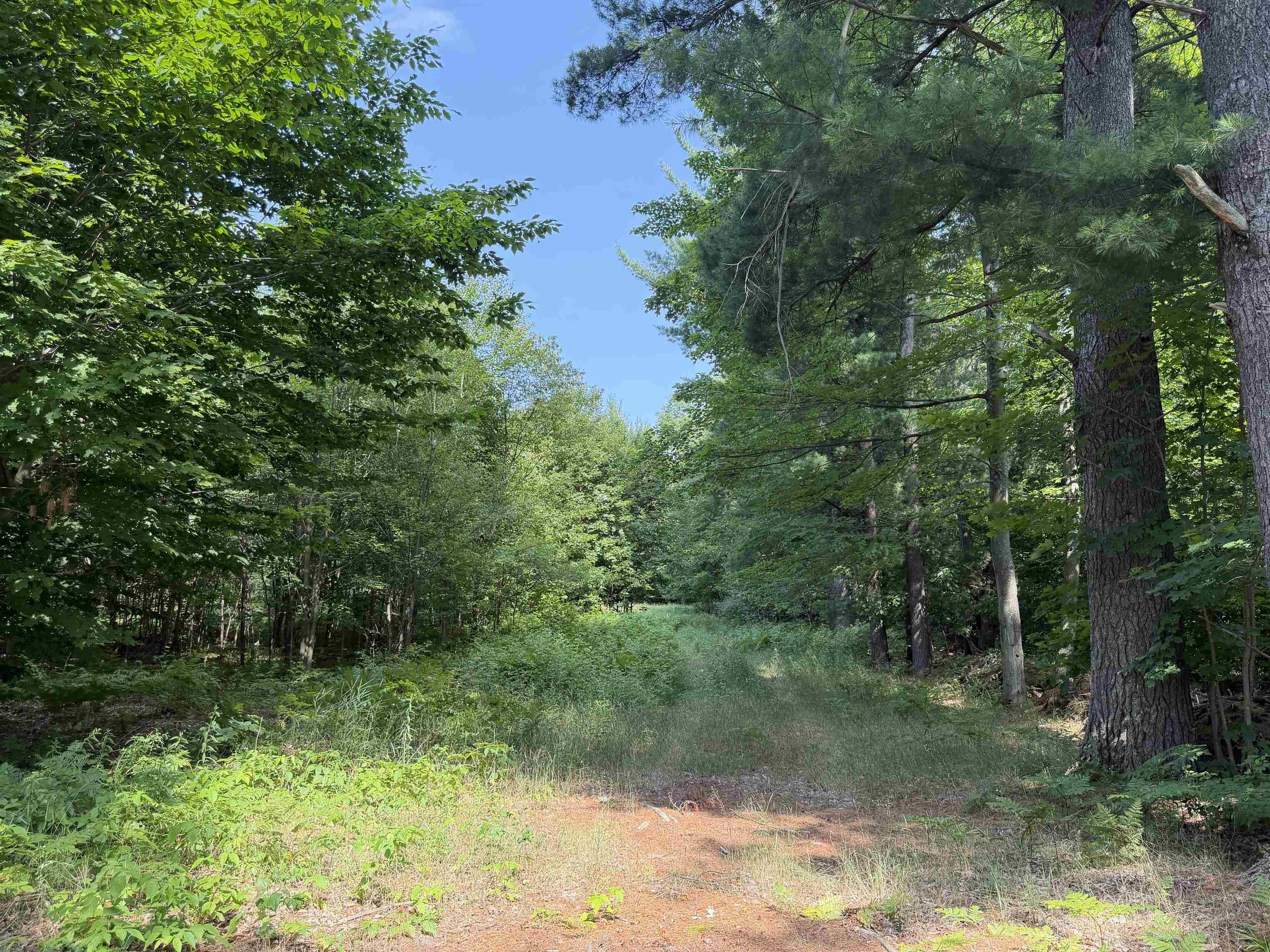 0000 Landis RD, Weldon Twp, MI 49683