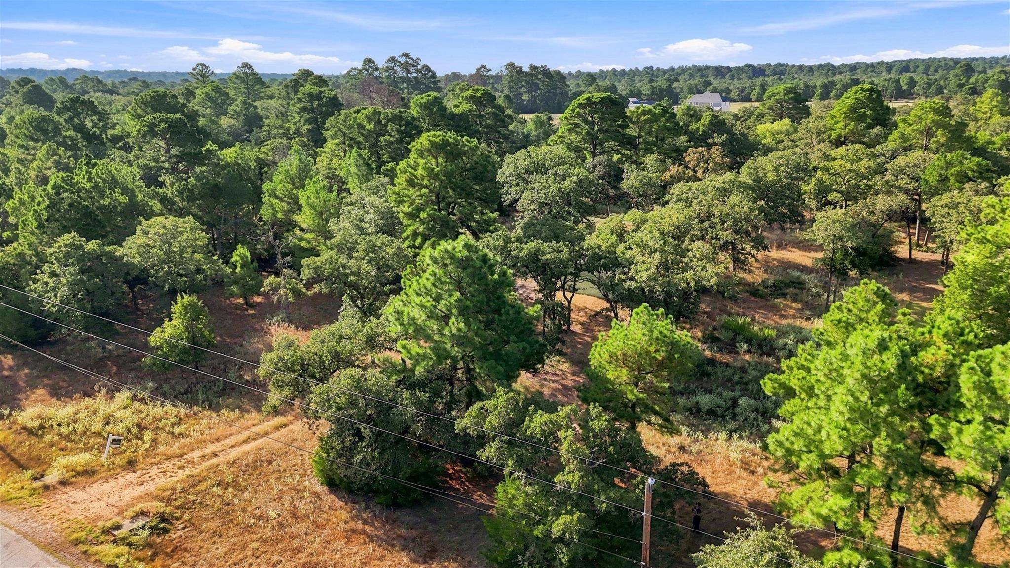 133 Roundup RDG, Smithville, TX 78957