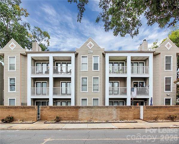 230 S Cedar ST #5, Charlotte, NC 28202