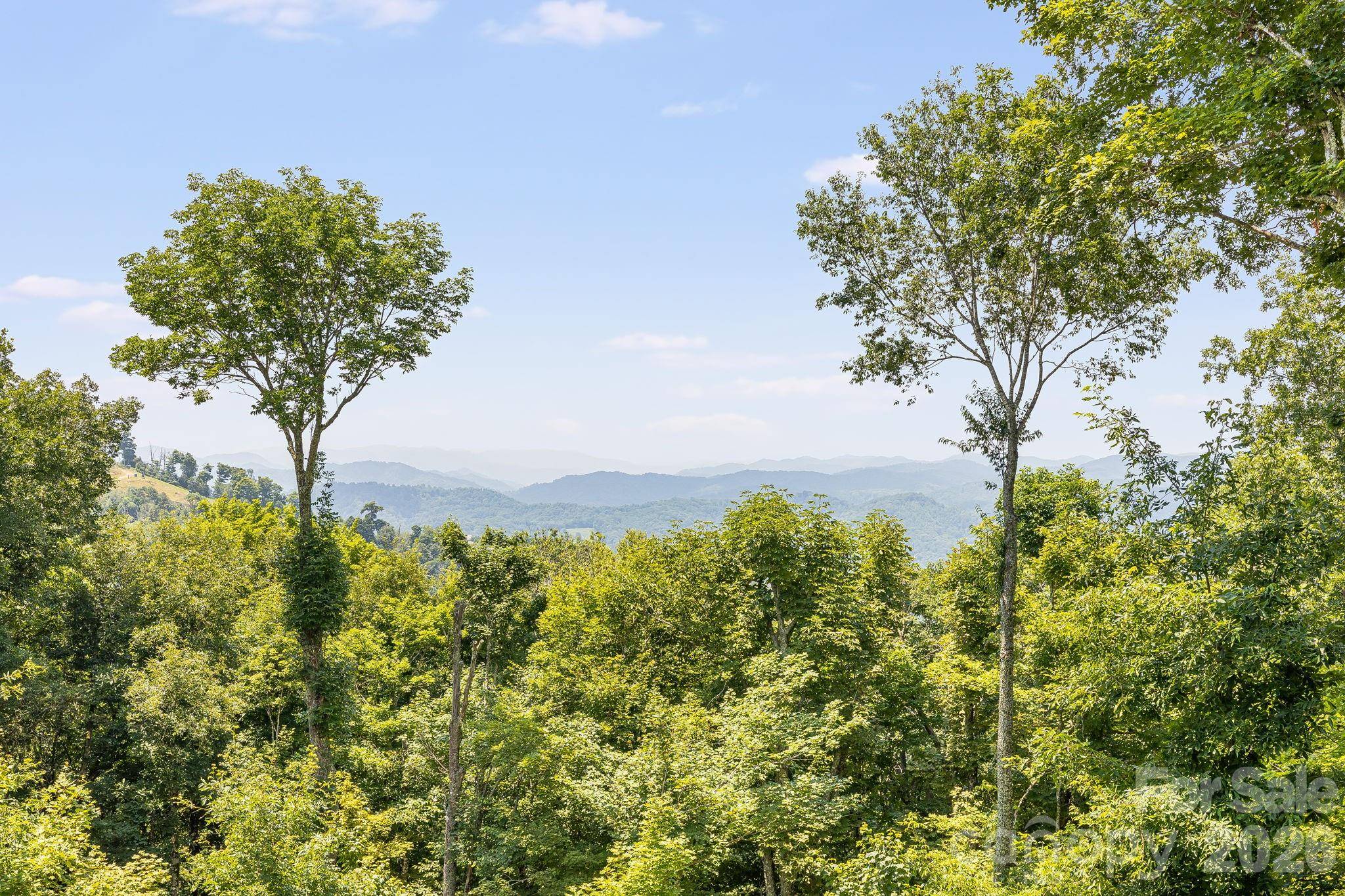 129 Finney LN, Mars Hill, NC 28754