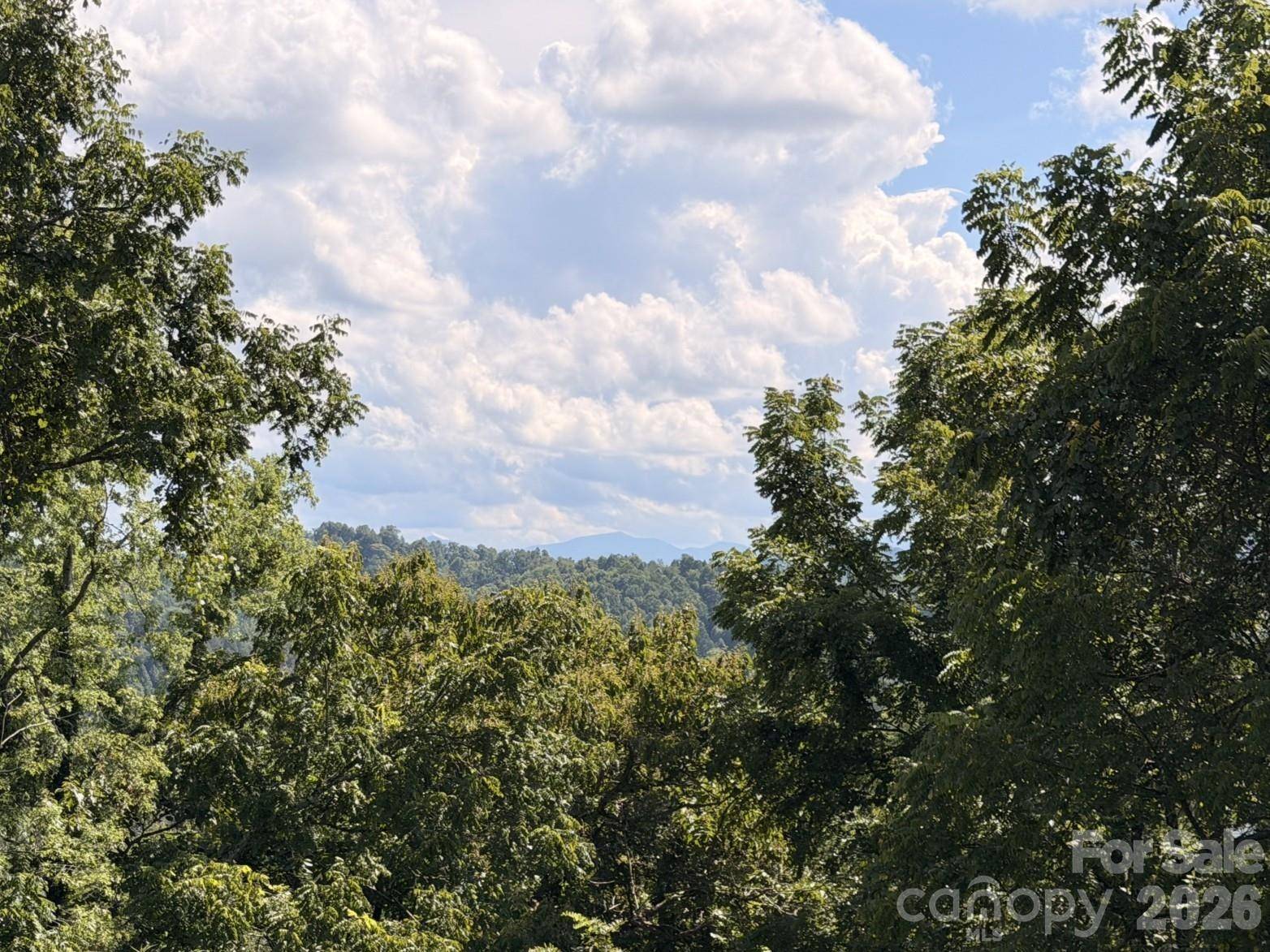 1057 Skyway DR, Marshall, NC 28753