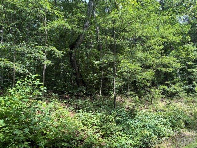 194 Elk Hair DR #1,191,194,195,196,197, Cullowhee, NC 28723