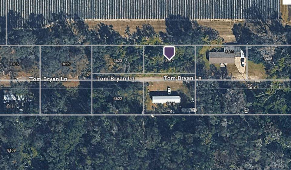 3617 TOM BRYAN LN, Lakeland, FL 33810