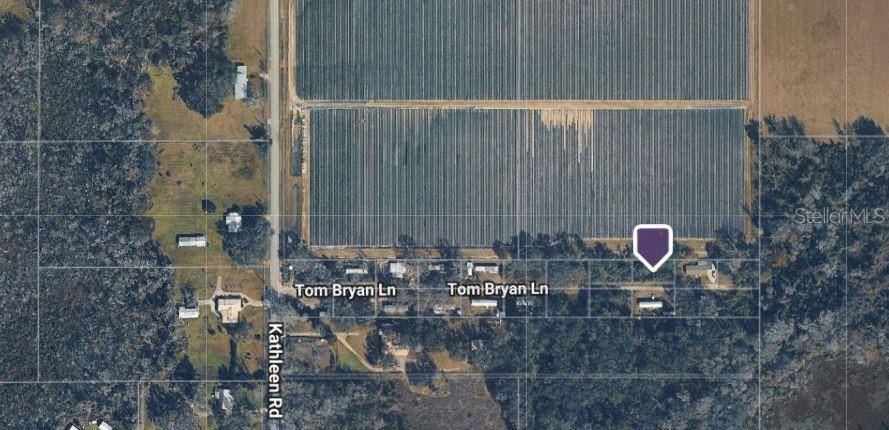 3617 TOM BRYAN LN, Lakeland, FL 33810